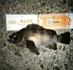 会心のメバリング