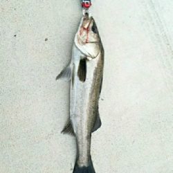 御天道様おはようございます。