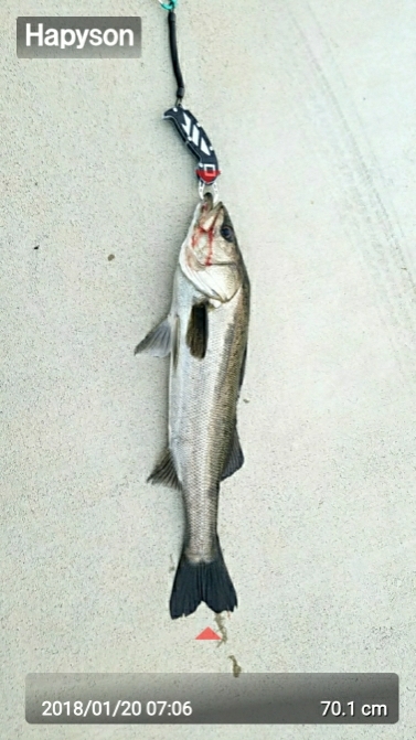 御天道様おはようございます。