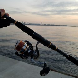 海鳥バリおったなぁ～