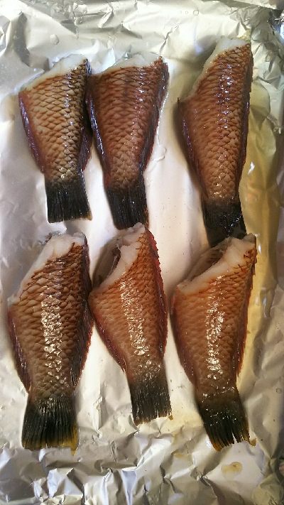 夏の様な釣れ方