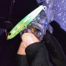 なんだかなぁー