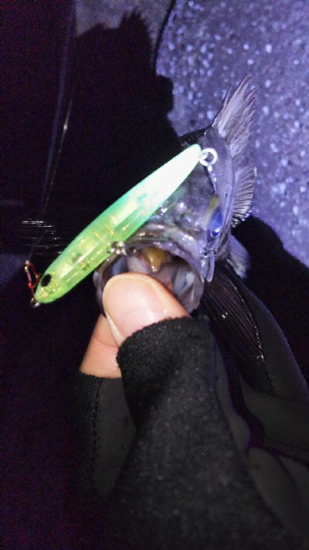 なんだかなぁー