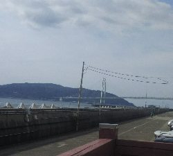 釣大会に参加しました