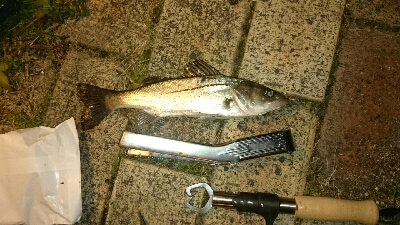 南港しか選択なかったんで、場所は舞洲付近で…