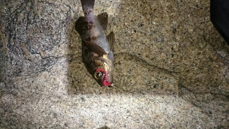 ラインセレクト