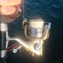 釣り部 釣行記 11