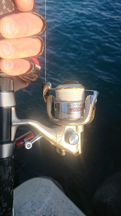 釣り部 釣行記 11