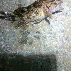 渋くなってきた