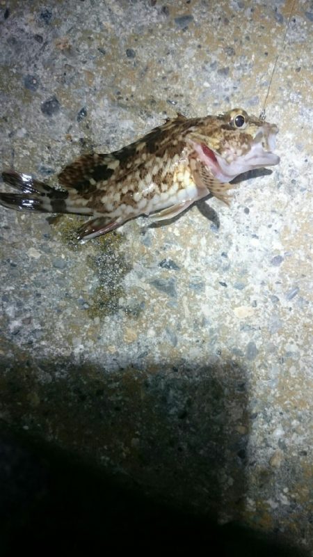 渋くなってきた