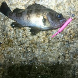 雨でもやりまっせ！