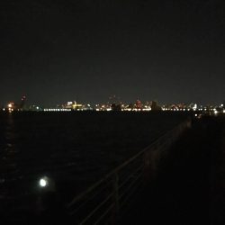 シーサイドコスモ　大阪南港の釣り　2017カンパリ釣り情報まとめ！（前編）