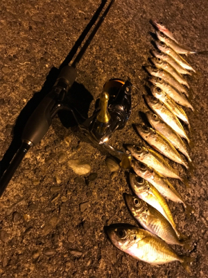 釣り納めアジング