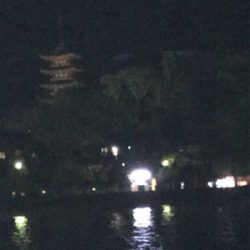 今年の運だめし