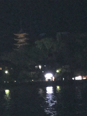 今年の運だめし