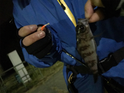 初めて山口県で釣り