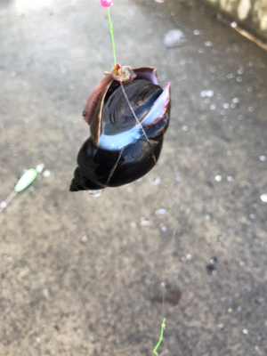 初釣りに来ましたが…