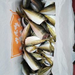 2018年1月4日釣行(釣り初め)in野北漁港