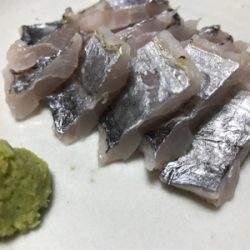 まさかのタチさん!!