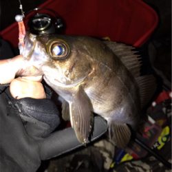 月が隠れたら、、