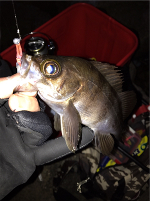 月が隠れたら、、