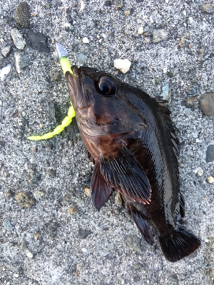 デイメバリング