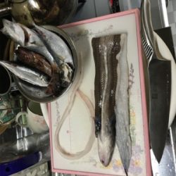 カレイ不発も嬉しい外道！