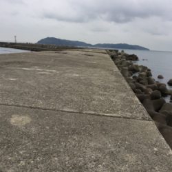 朝まづめライトゲーム