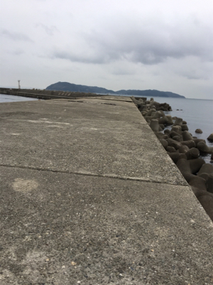 朝まづめライトゲーム