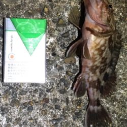 ナイトゲーム☆メバリング釣行♪