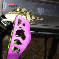 １６時から開始