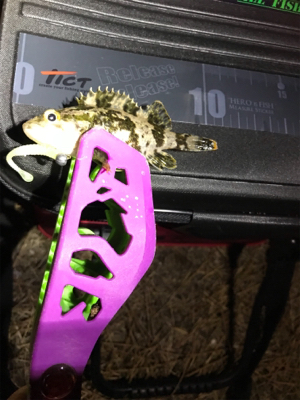 １６時から開始