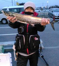 ムコイチ サワラ狙い