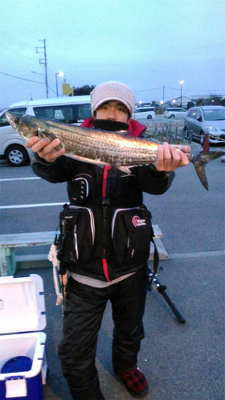 ムコイチ サワラ狙い