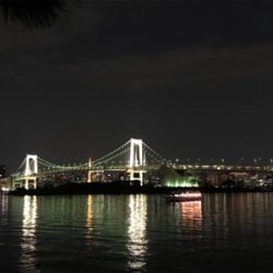 バイブレーションでチヌ