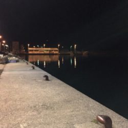 メバルシーズン到来⁉︎