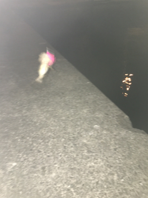 穏やかな 波、風、釣果