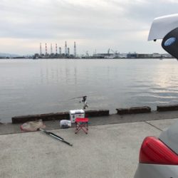 エビ撒きで、ハネ!