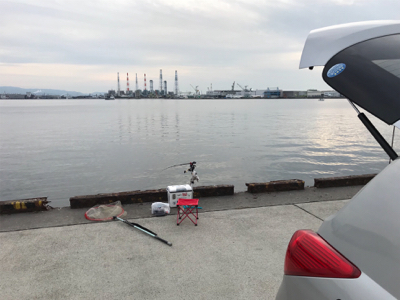 エビ撒きで、ハネ!