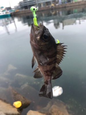 ディメバリング