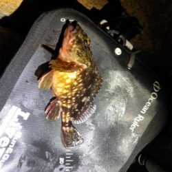 極寒のガシリング