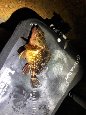 極寒のガシリング