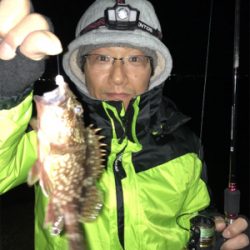 ナイトメバリングゲーム♪