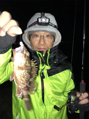 ナイトメバリングゲーム♪