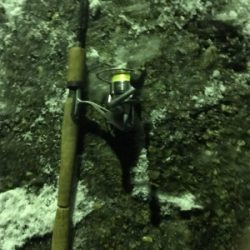 雪の中なんとか