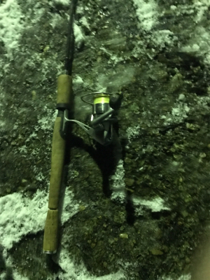 雪の中なんとか