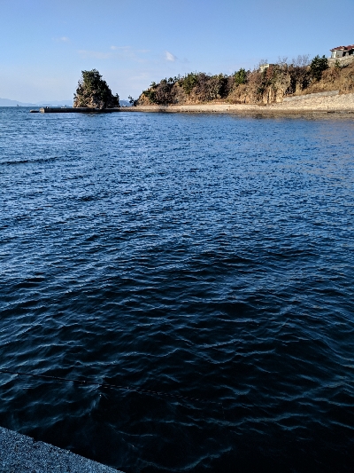 サビキメバル釣り