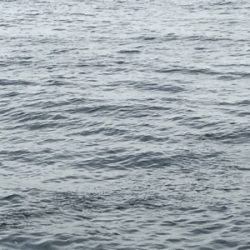 沖の島 磯釣り 撃沈。