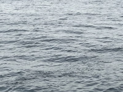 沖の島 磯釣り 撃沈。