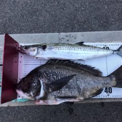 1/14武庫川一文字